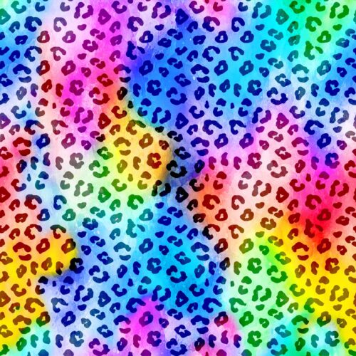 REMMIDEMMI EP - Leopard Rainbow