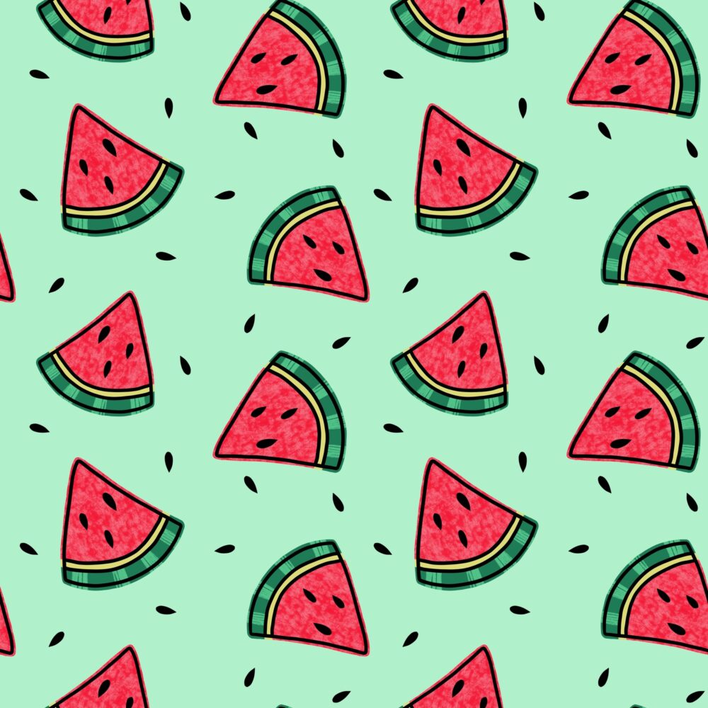 REMMIDEMMI EP - Watermelons mint