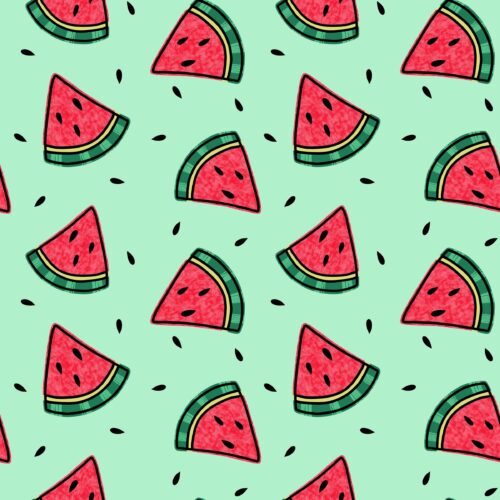 REMMIDEMMI EP - Watermelons mint